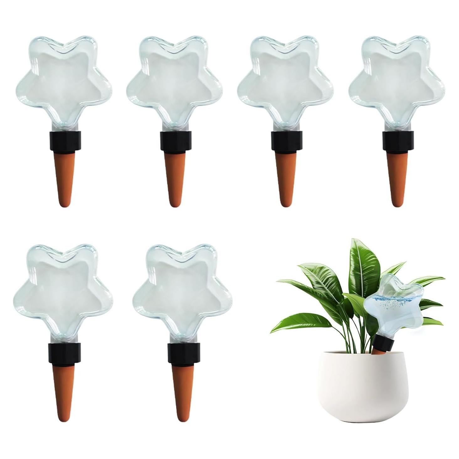 Esferas de Riego Automáticas Ansberta Estrella 200ml - 6 Unidades