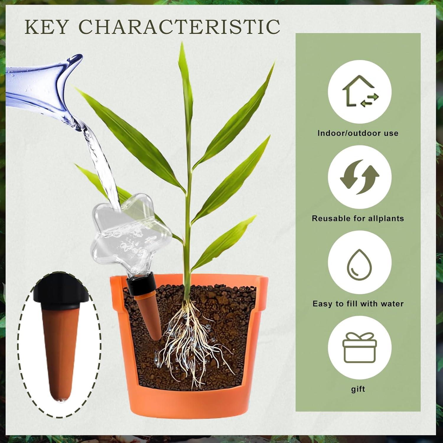 Esferas de Riego Automáticas Ansberta Estrella 200ml - 6 Unidades