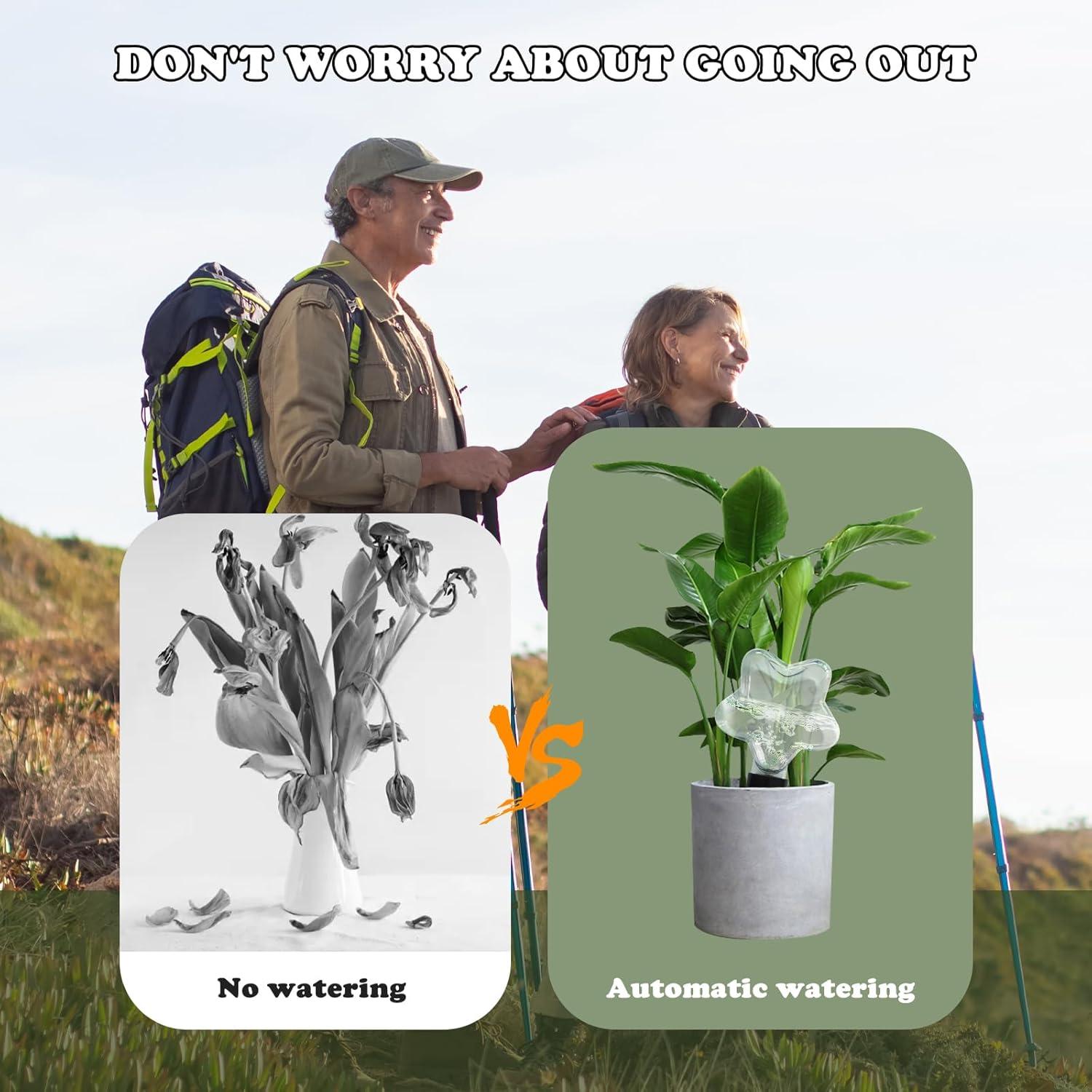 Esferas de Riego Automáticas Ansberta Estrella 200ml - 6 Unidades