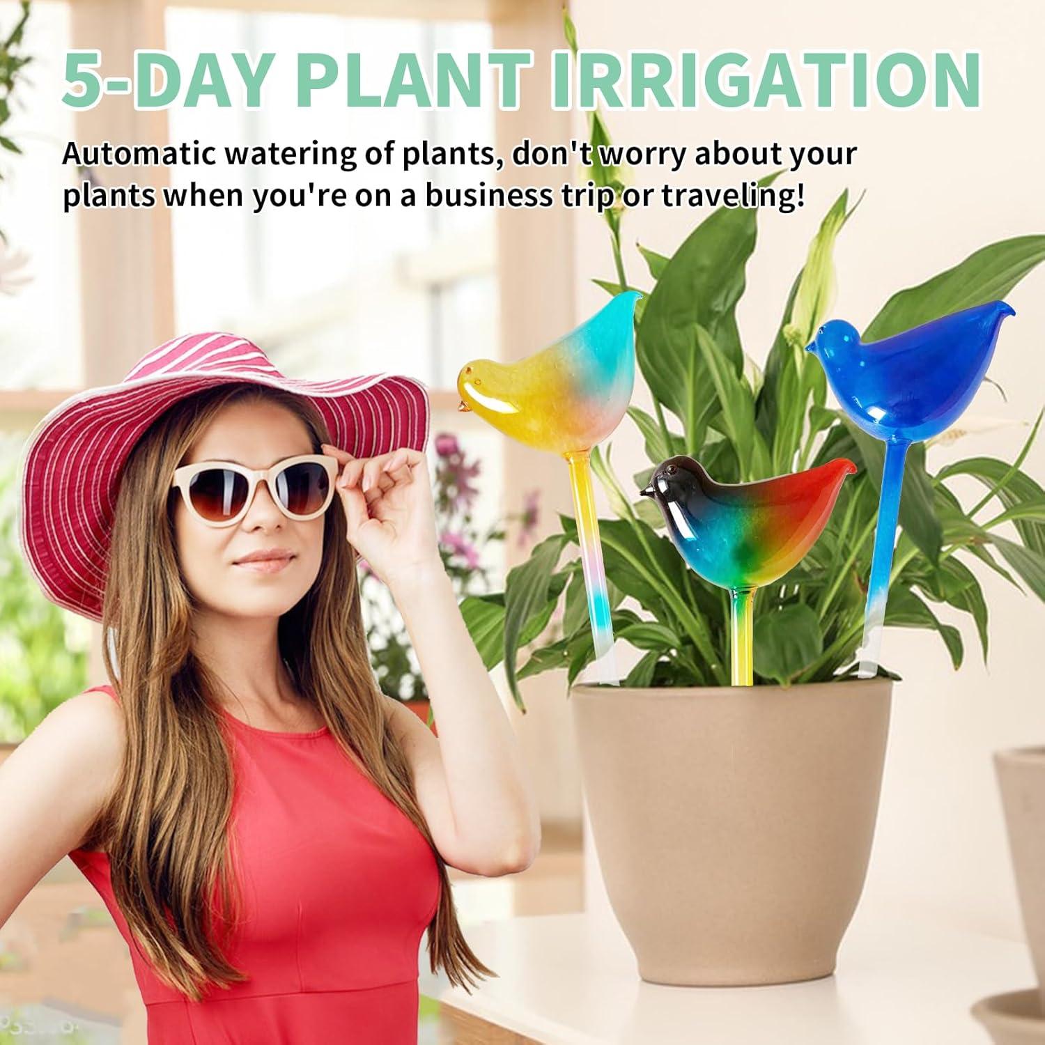 Esferas de Riego Automático de Vidrio CRVAJJWT - Paquete de 3