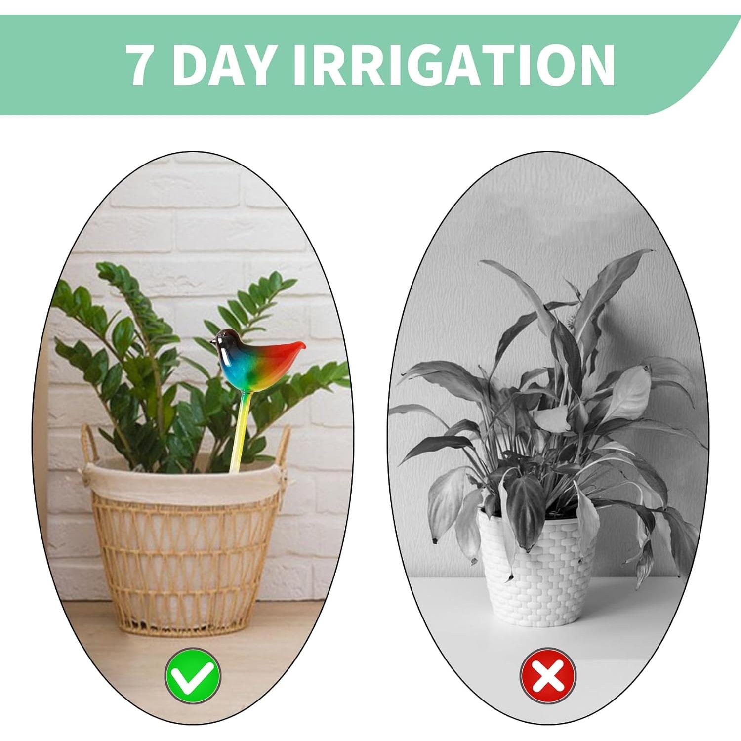 Esferas de Riego Automático de Vidrio CRVAJJWT - Paquete de 3