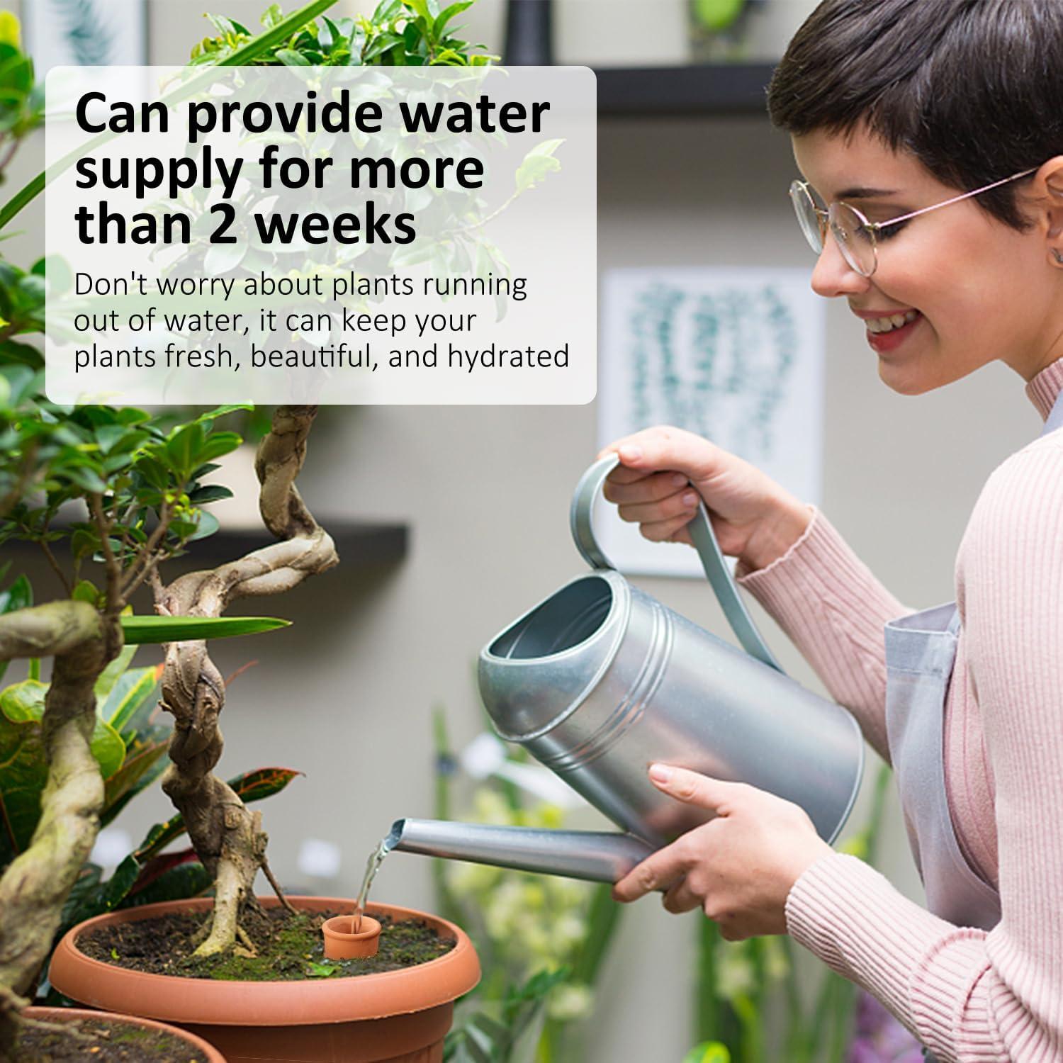 4 Esferas de Riego para Plantas Lovely Ran de Cerámica 50.9cm³