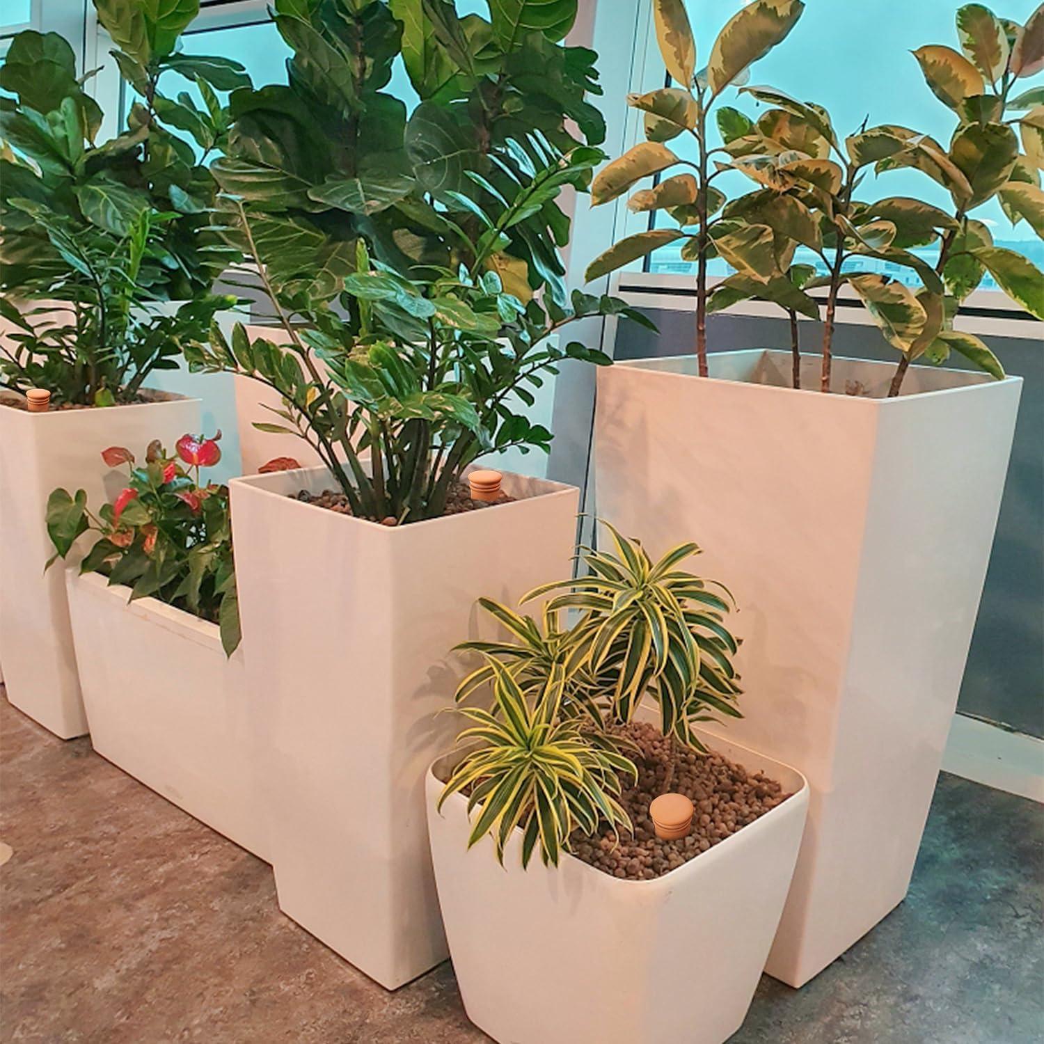 4 Esferas de Riego para Plantas Lovely Ran de Cerámica 50.9cm³