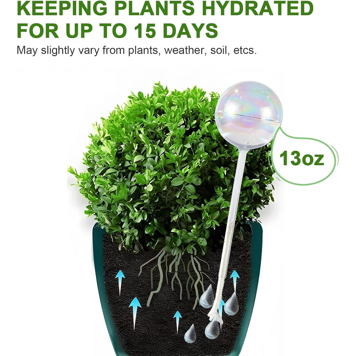 4PCS Esferas de Riego Automáticas Histely 368.5ml Vidrio