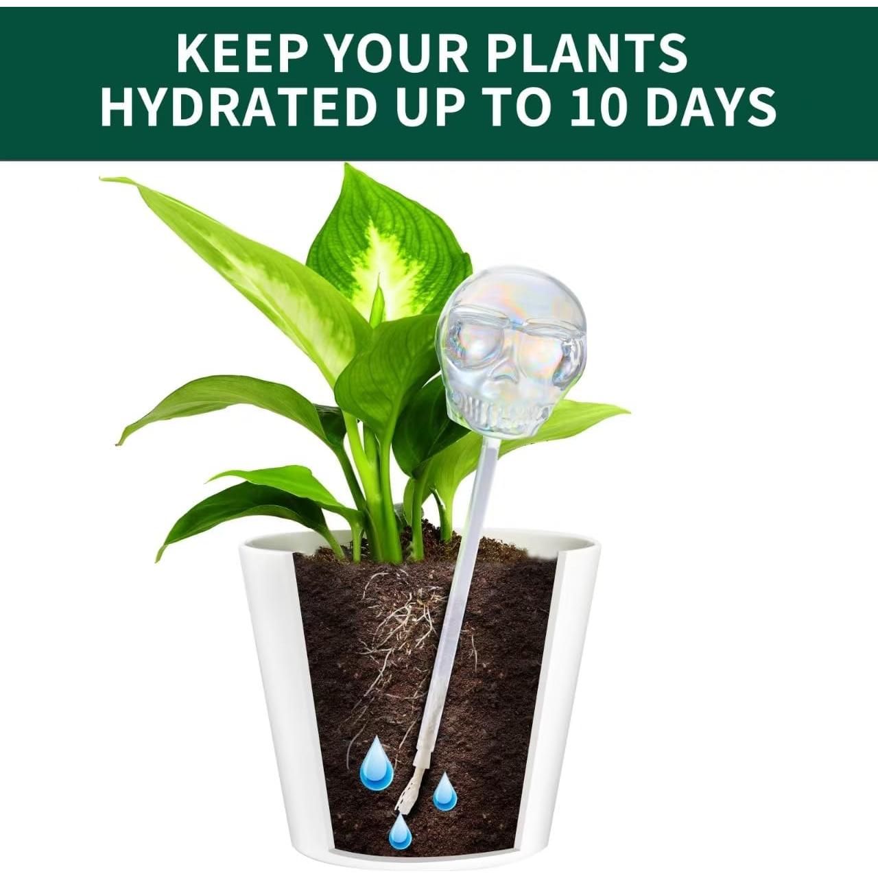 Esferas de Riego de Cristal Calavera Soilauga 10 oz - Paquete de 2