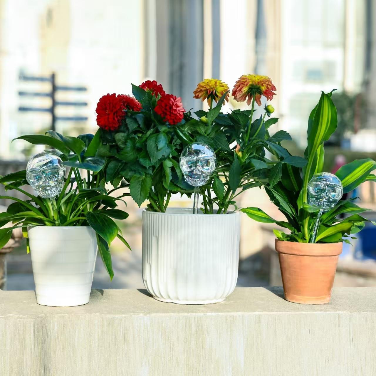 Esferas de Riego de Cristal Calavera Soilauga 10 oz - Paquete de 2