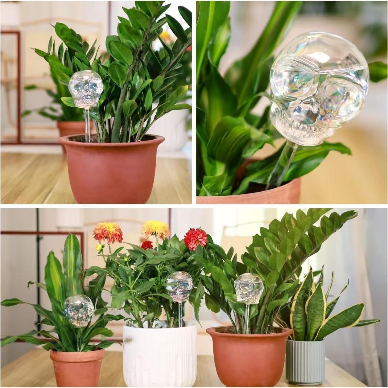 Esferas de Riego de Cristal Calavera Soilauga 10 oz - Paquete de 2