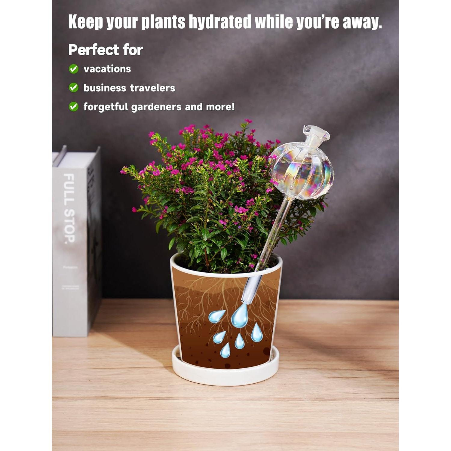 Esferas de Riego Automático NiHome 2-Pack Cactus Iridiscente 140ml