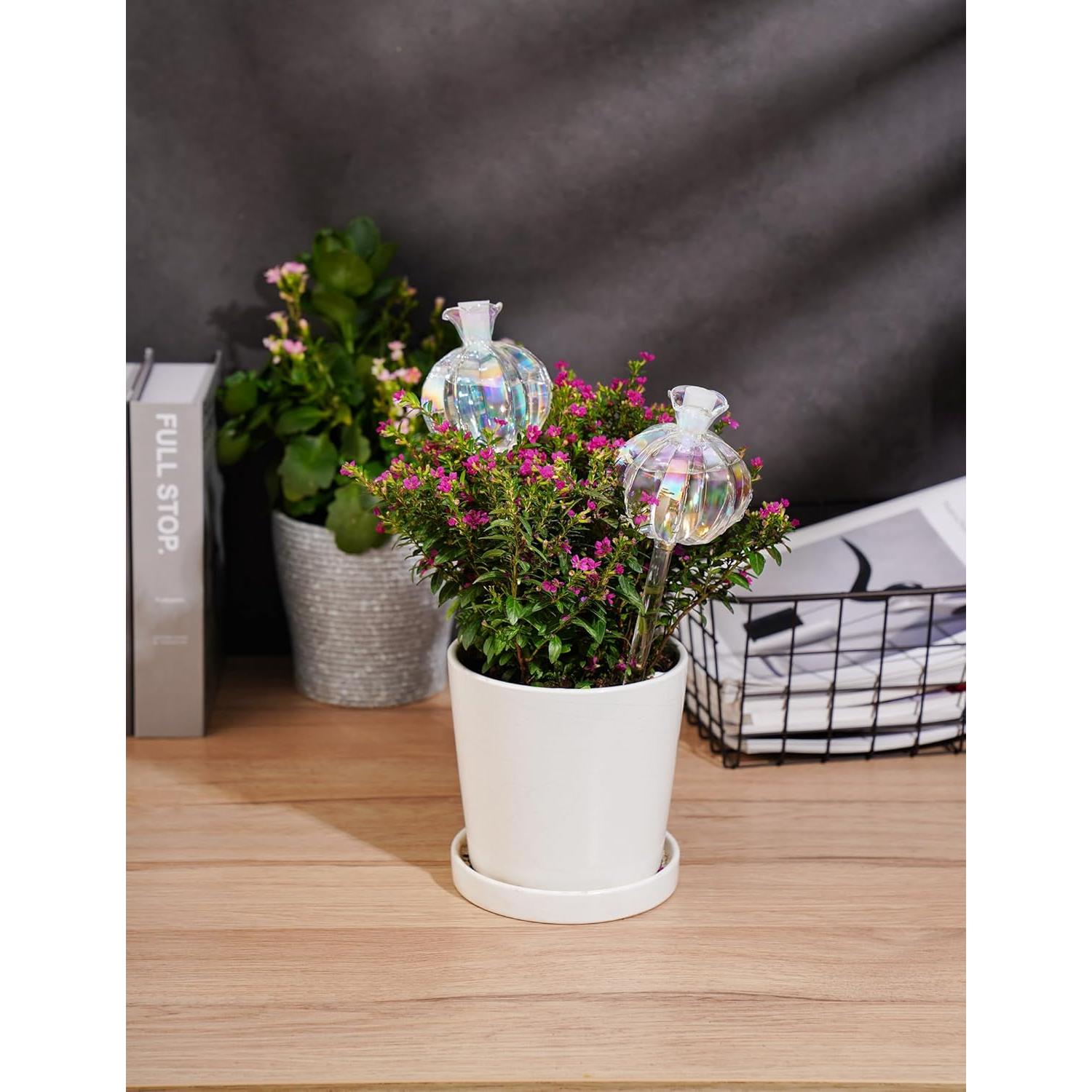 Esferas de Riego Automático NiHome 2-Pack Cactus Iridiscente 140ml