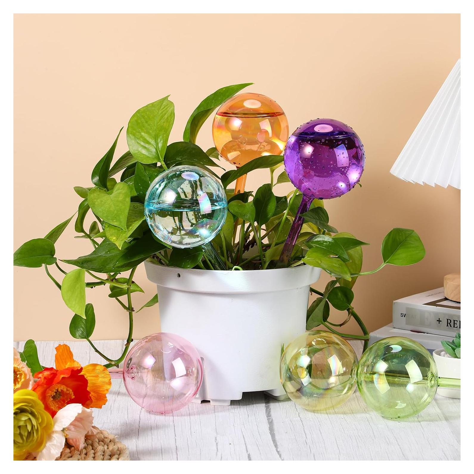 Maxdot 6 Esferas de Riego Automáticas de Vidrio 270 ml