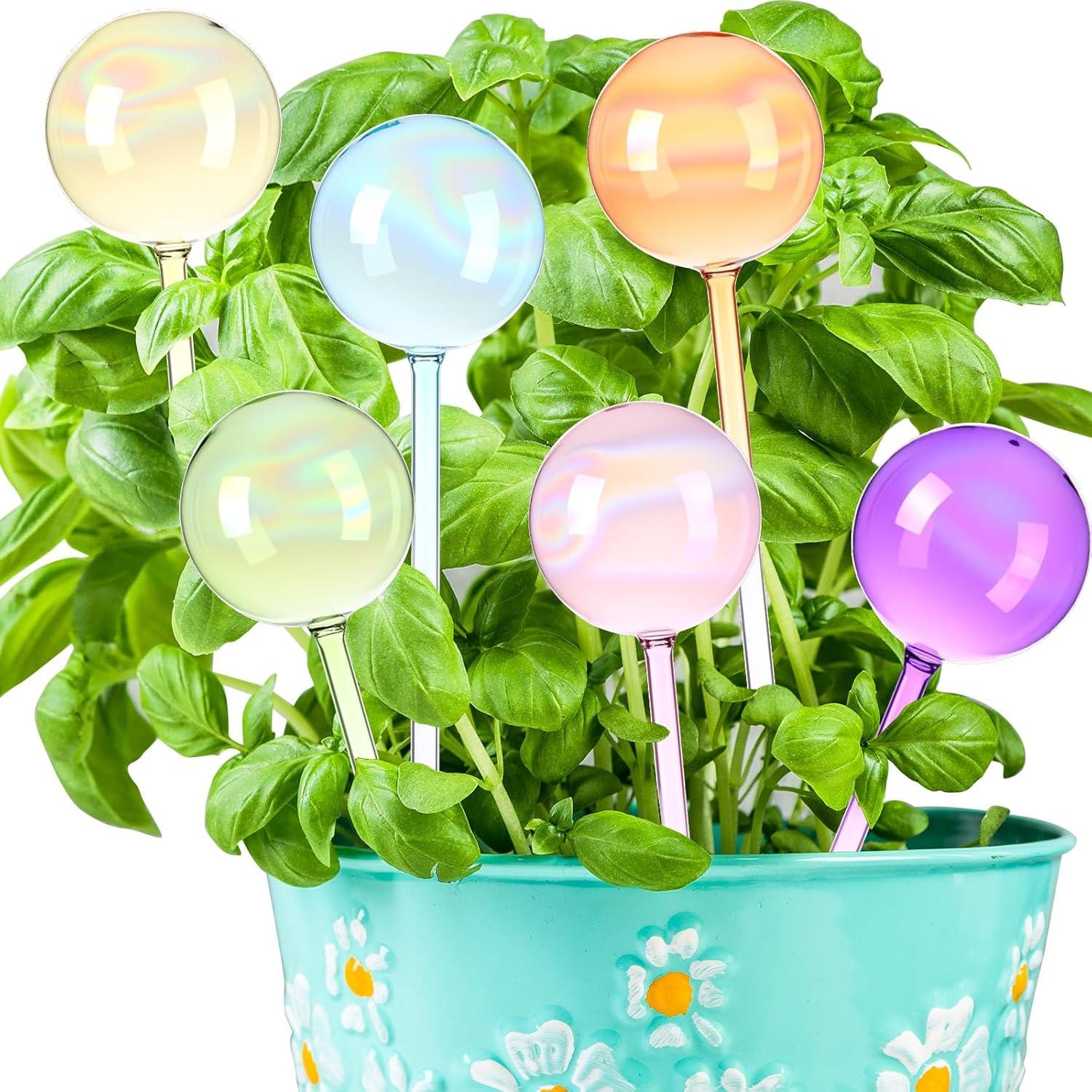 Maxdot 6 Esferas de Riego Automáticas de Vidrio 270 ml