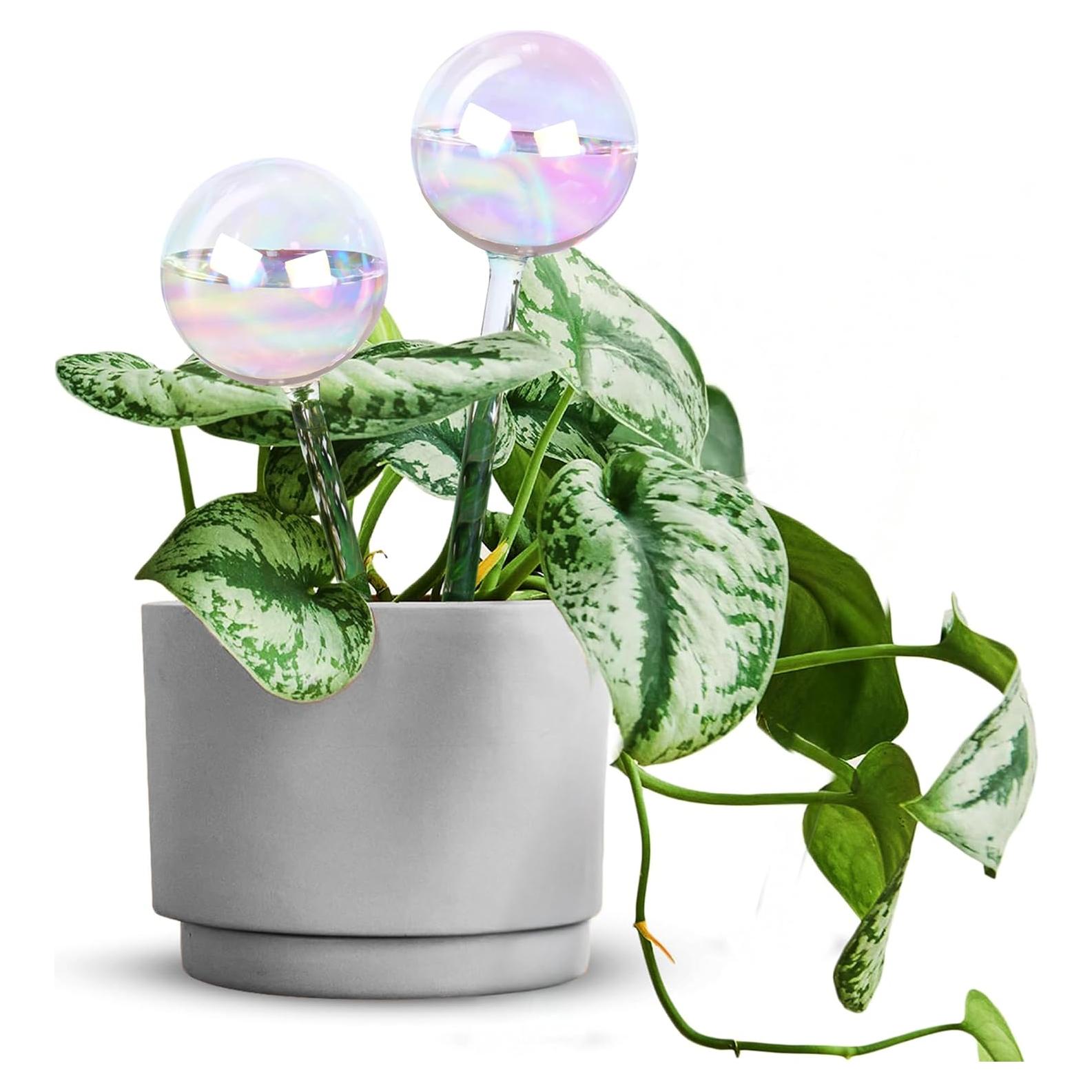 Esferas de Riego de Vidrio EcoNour 2PCS | Autorriego para Plantas