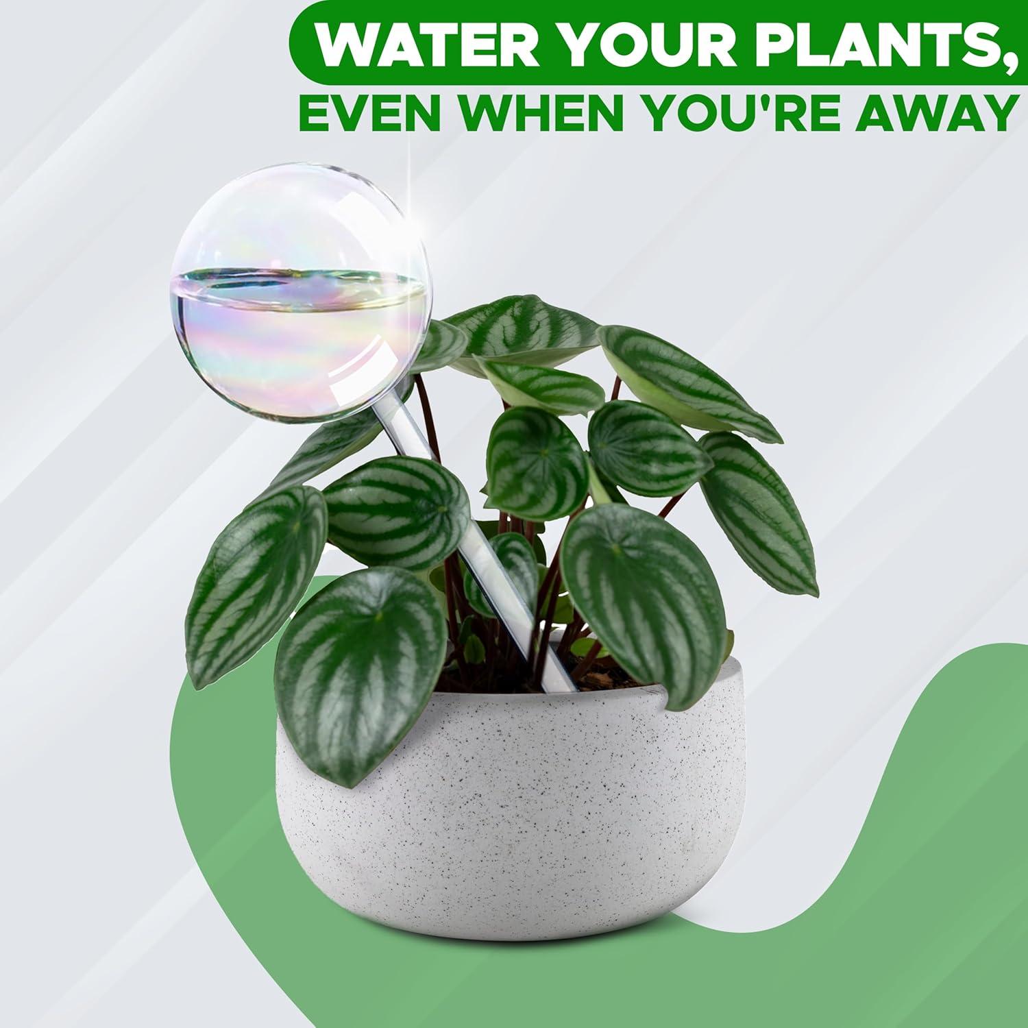 Esferas de Riego de Vidrio EcoNour 2PCS | Autorriego para Plantas