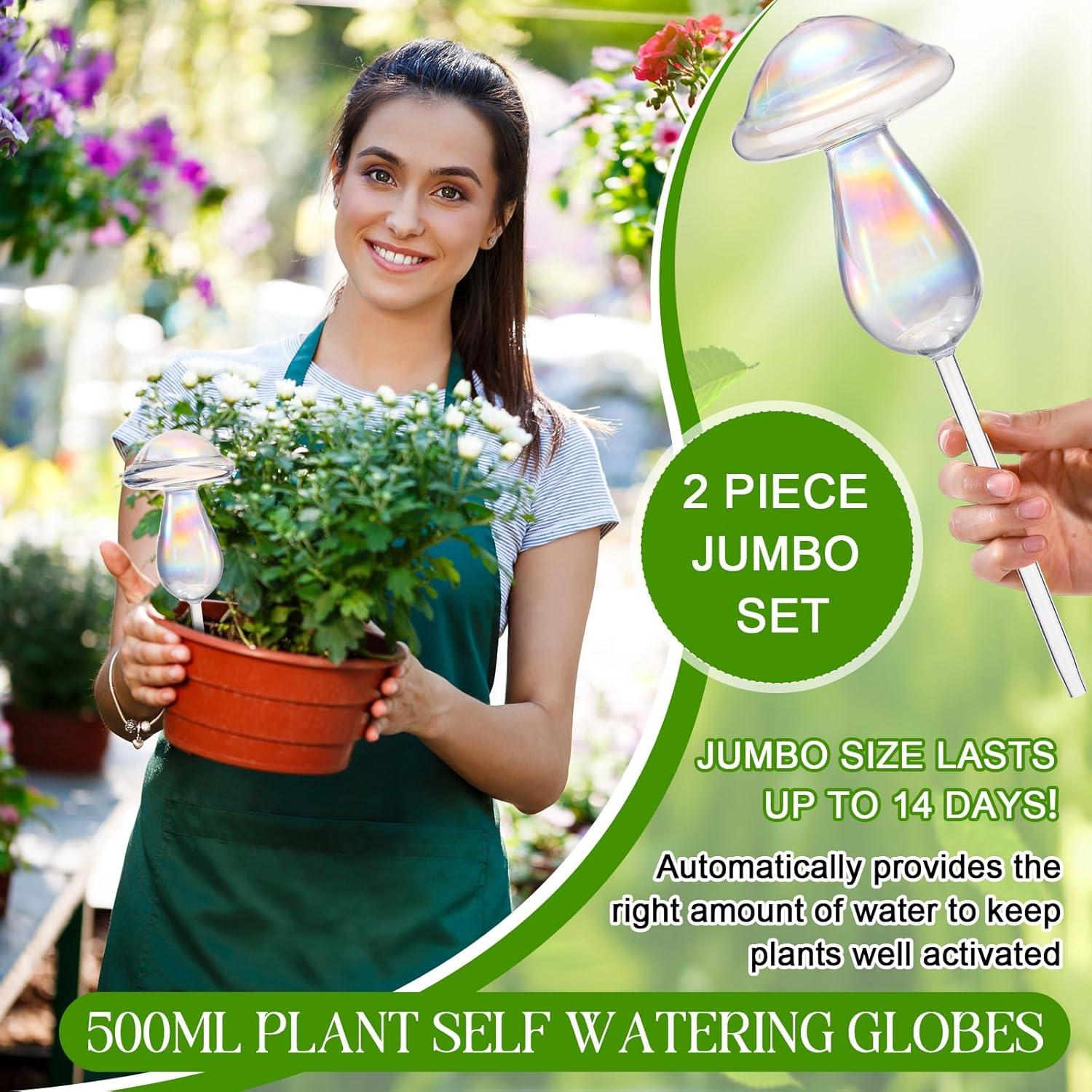 2 Esferas de Riego Automático de Vidrio 500 ml para Plantas