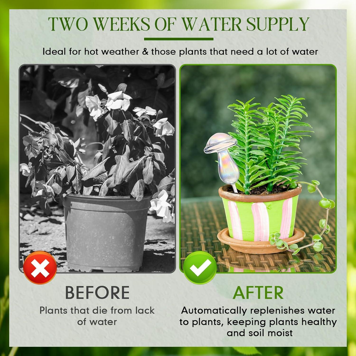 2 Esferas de Riego Automático de Vidrio 500 ml para Plantas