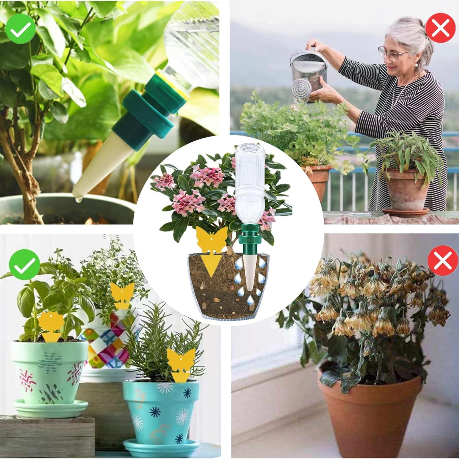 Sistema de Riego por Goteo Automático GREMBEB 6 Picos Cerámica