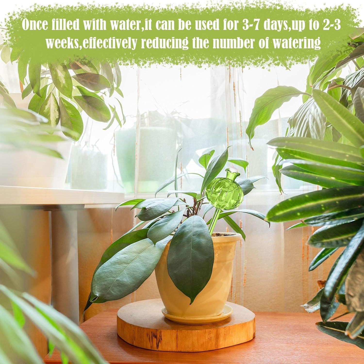 Paquete de 4 Esferas de Riego Automático YUYJME - Blanco