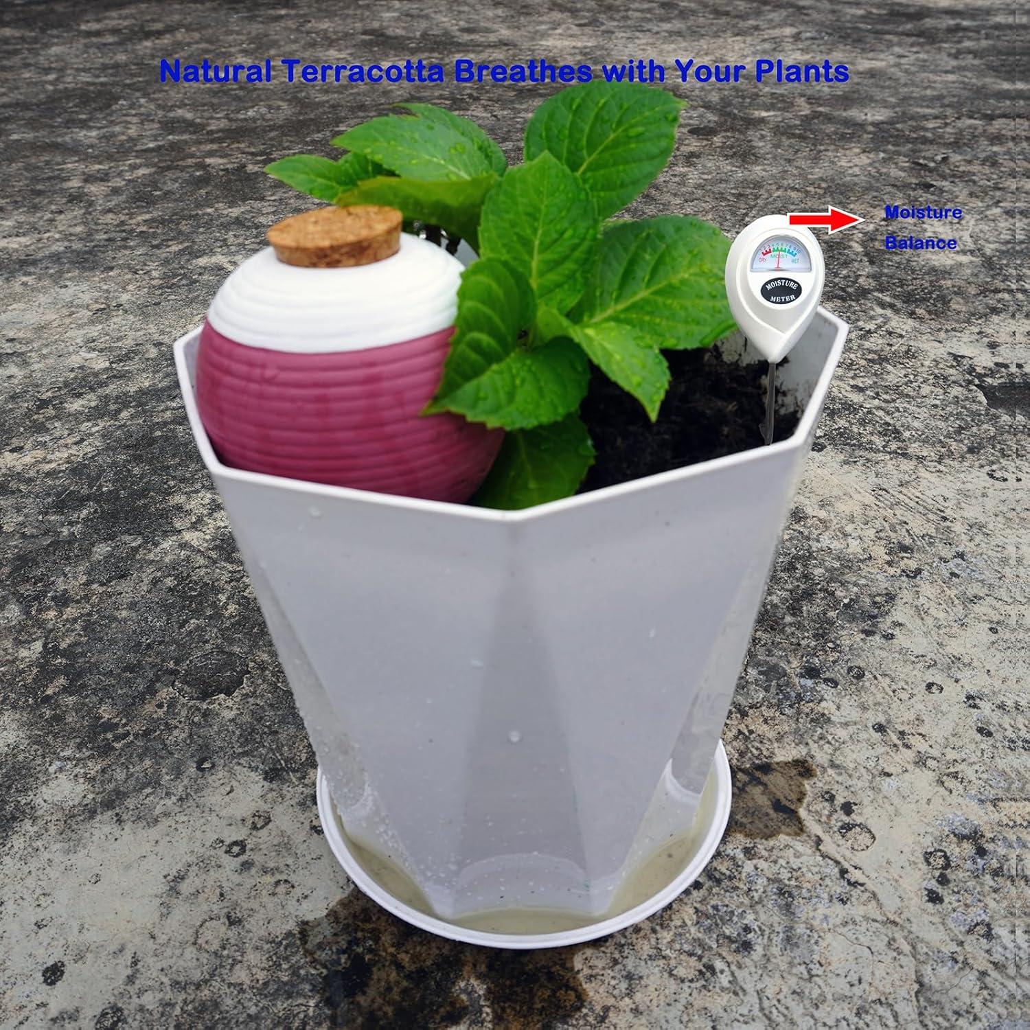 4 Picos de Riego de Terracota Autorriego 1.09 kg para Plantas