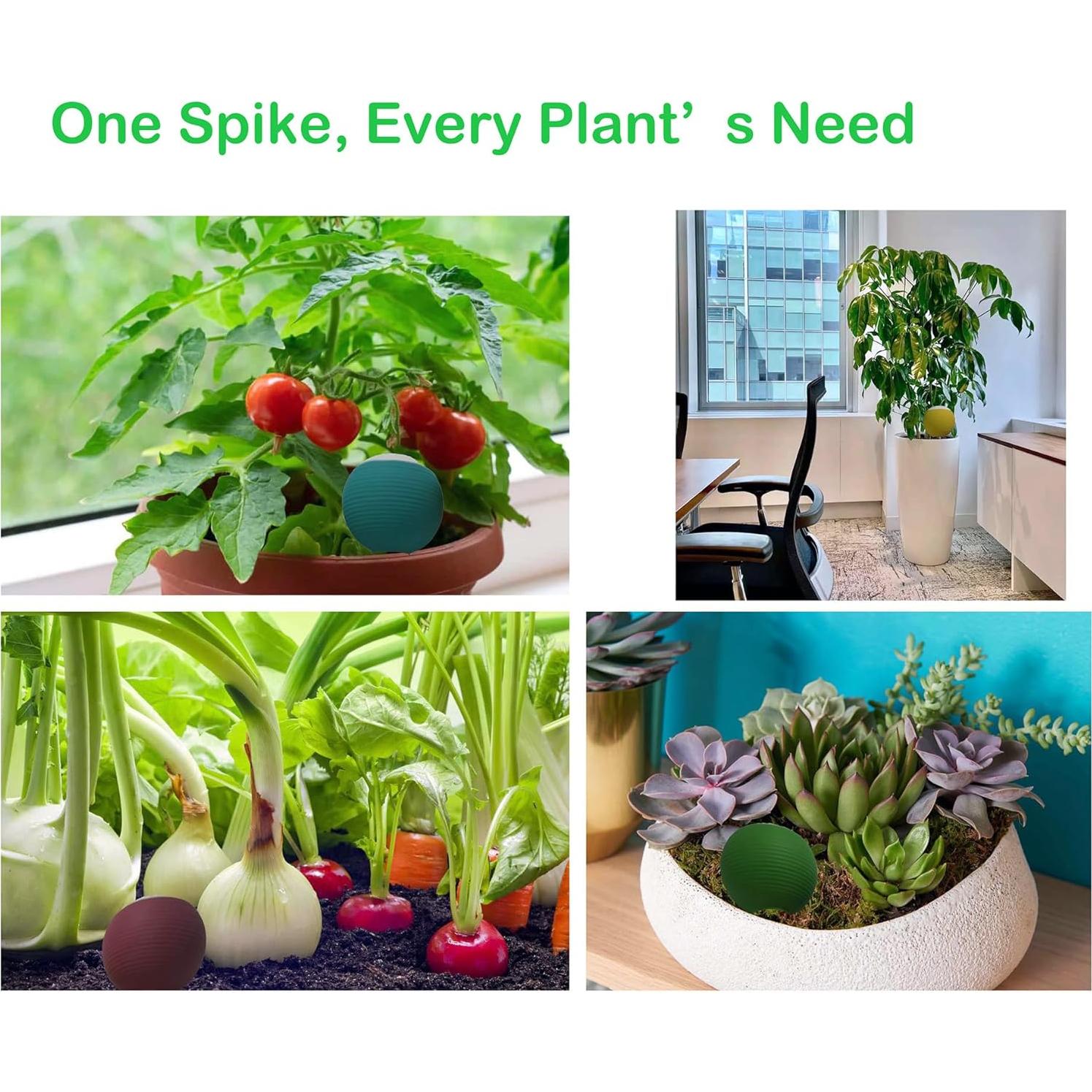 4 Picos de Riego de Terracota Autorriego 1.09 kg para Plantas