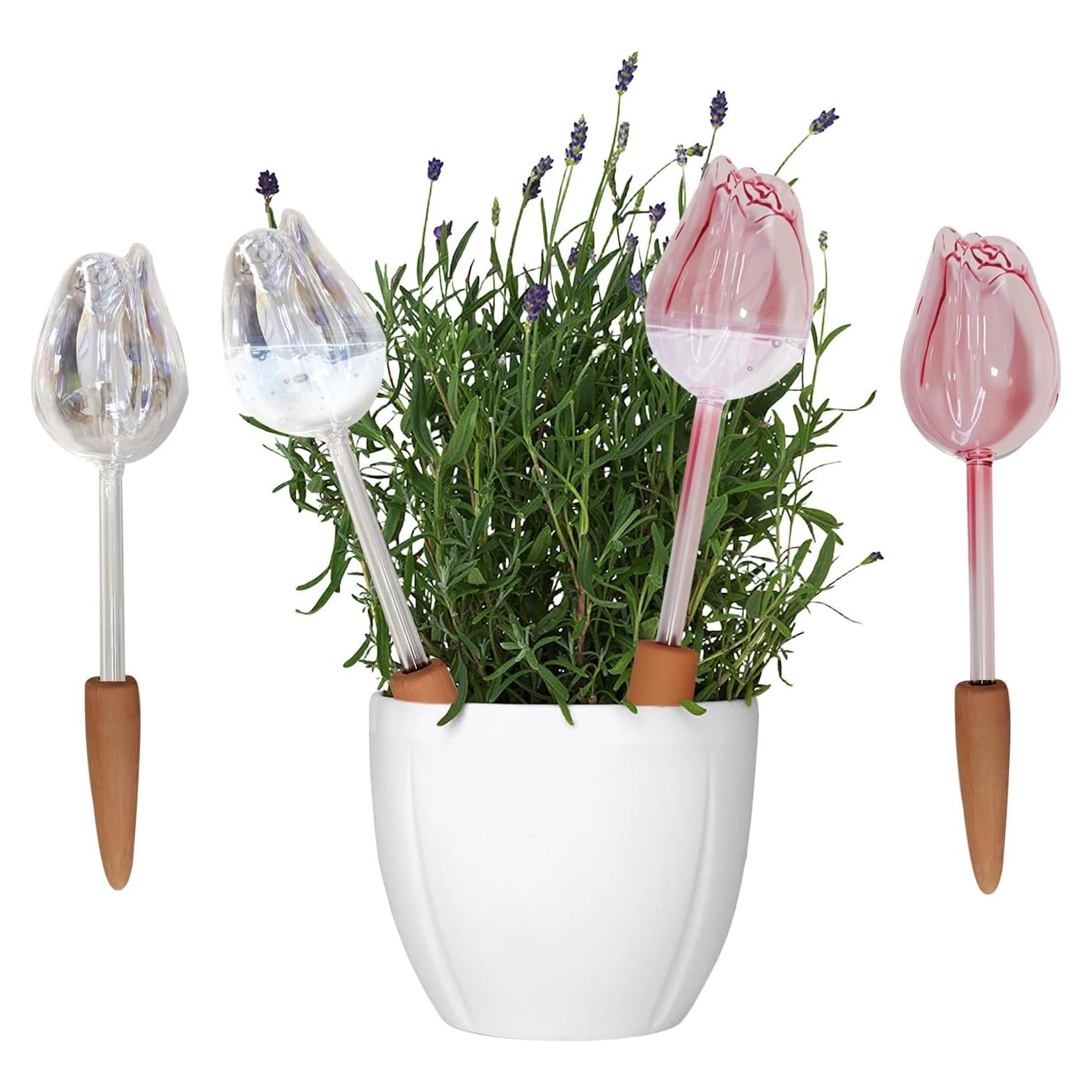 4 Esferas de Vidrio para Autorriego de Plantas XYElite - Rosa