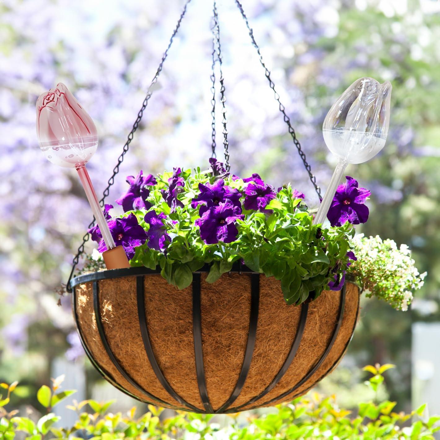 4 Esferas de Vidrio para Autorriego de Plantas XYElite - Rosa