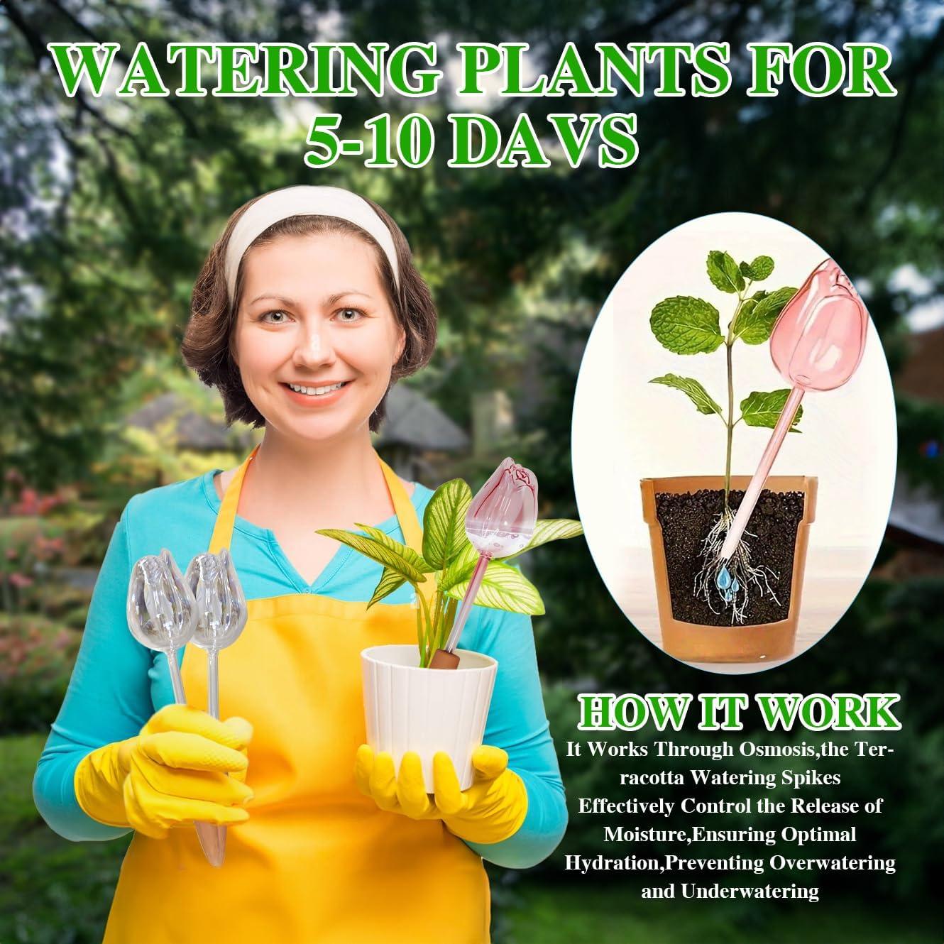 4 Esferas de Vidrio para Autorriego de Plantas XYElite - Rosa