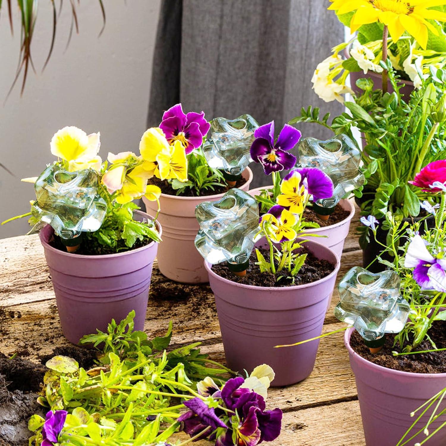 Paquete de 6 Esferas Autorriego Shengyi 200 ml para Plantas