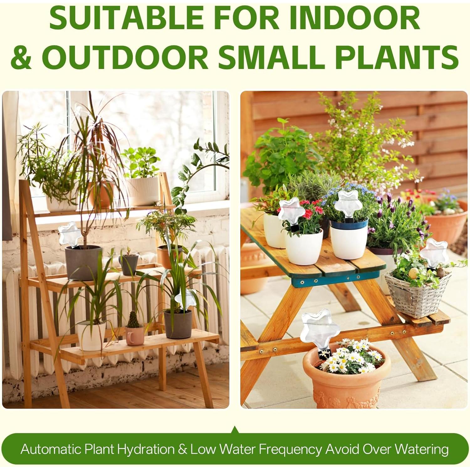 Paquete de 6 Esferas Autorriego Shengyi 200 ml para Plantas