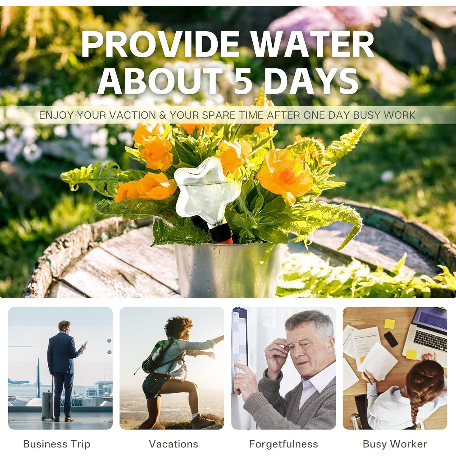 Paquete de 6 Esferas Autorriego Shengyi 200 ml para Plantas