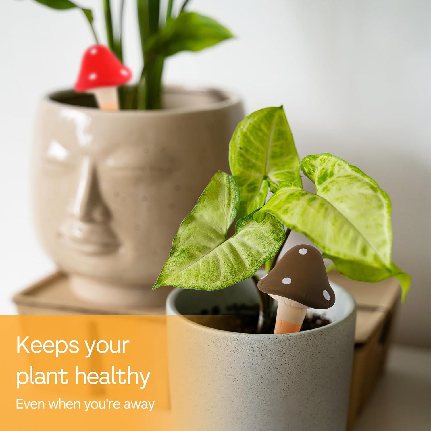 8 Picos de Riego Automático de Terracota Wutfuooo 7.6x15.2cm