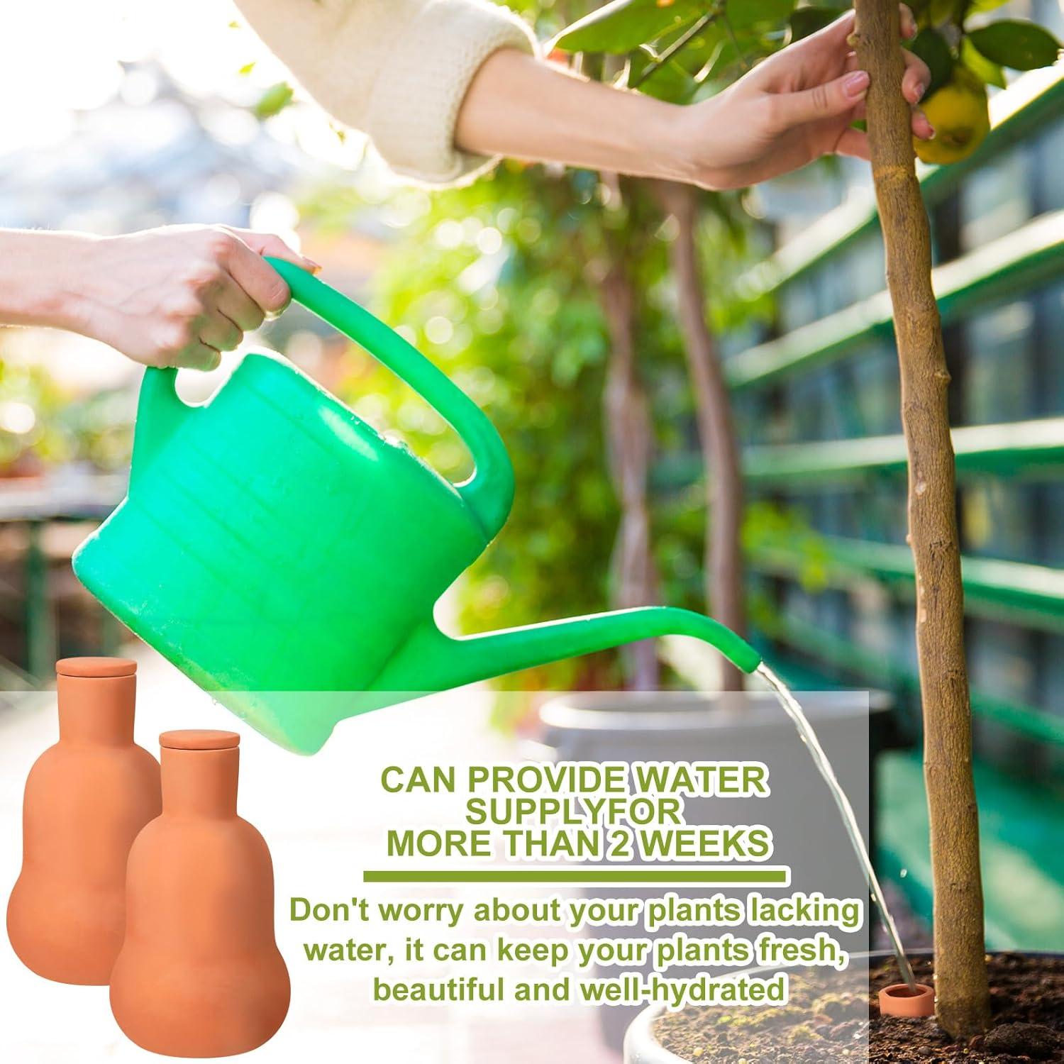 Juego de 2 Macetas de Autorriego Terracota 15 oz Blushtier