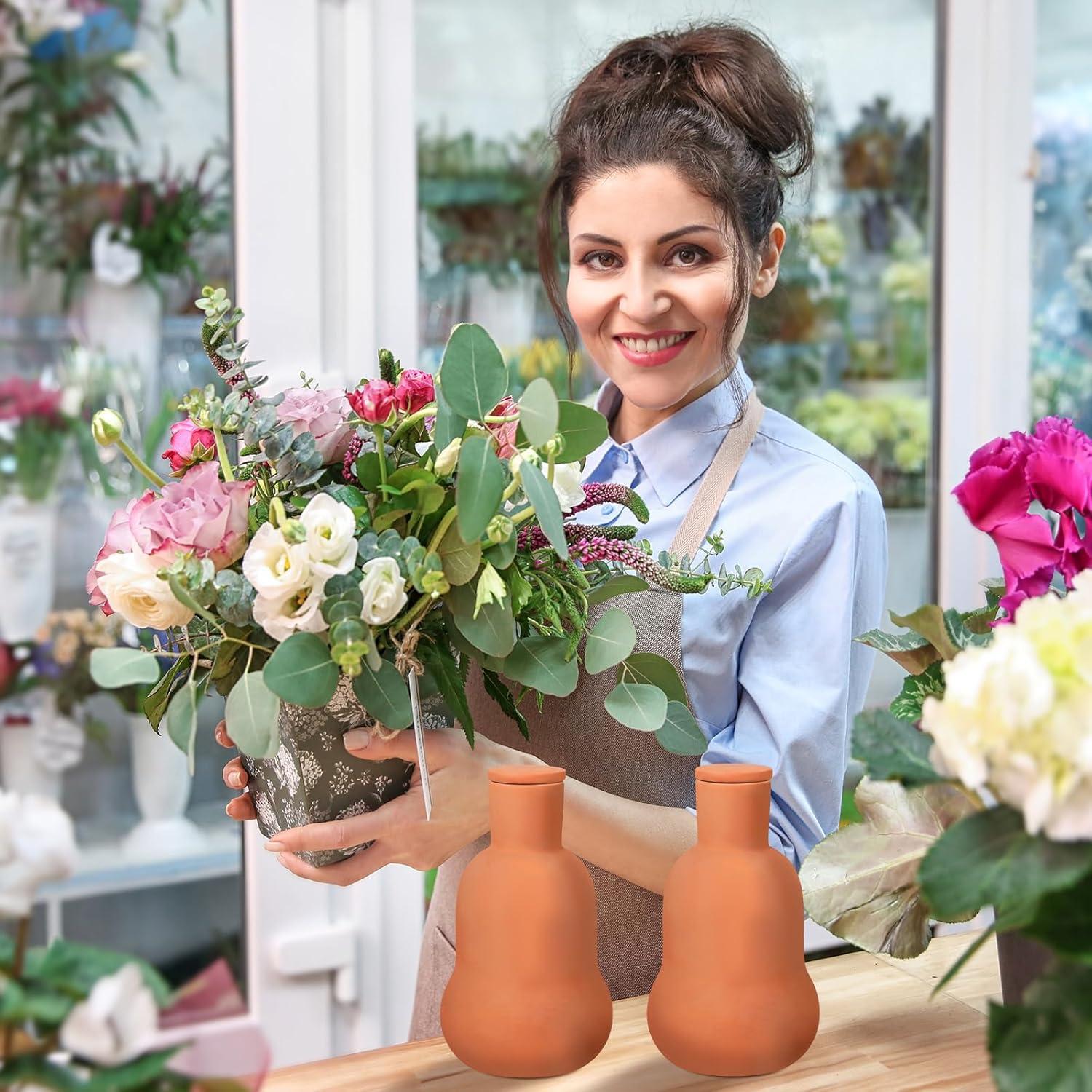 Juego de 2 Macetas de Autorriego Terracota 15 oz Blushtier