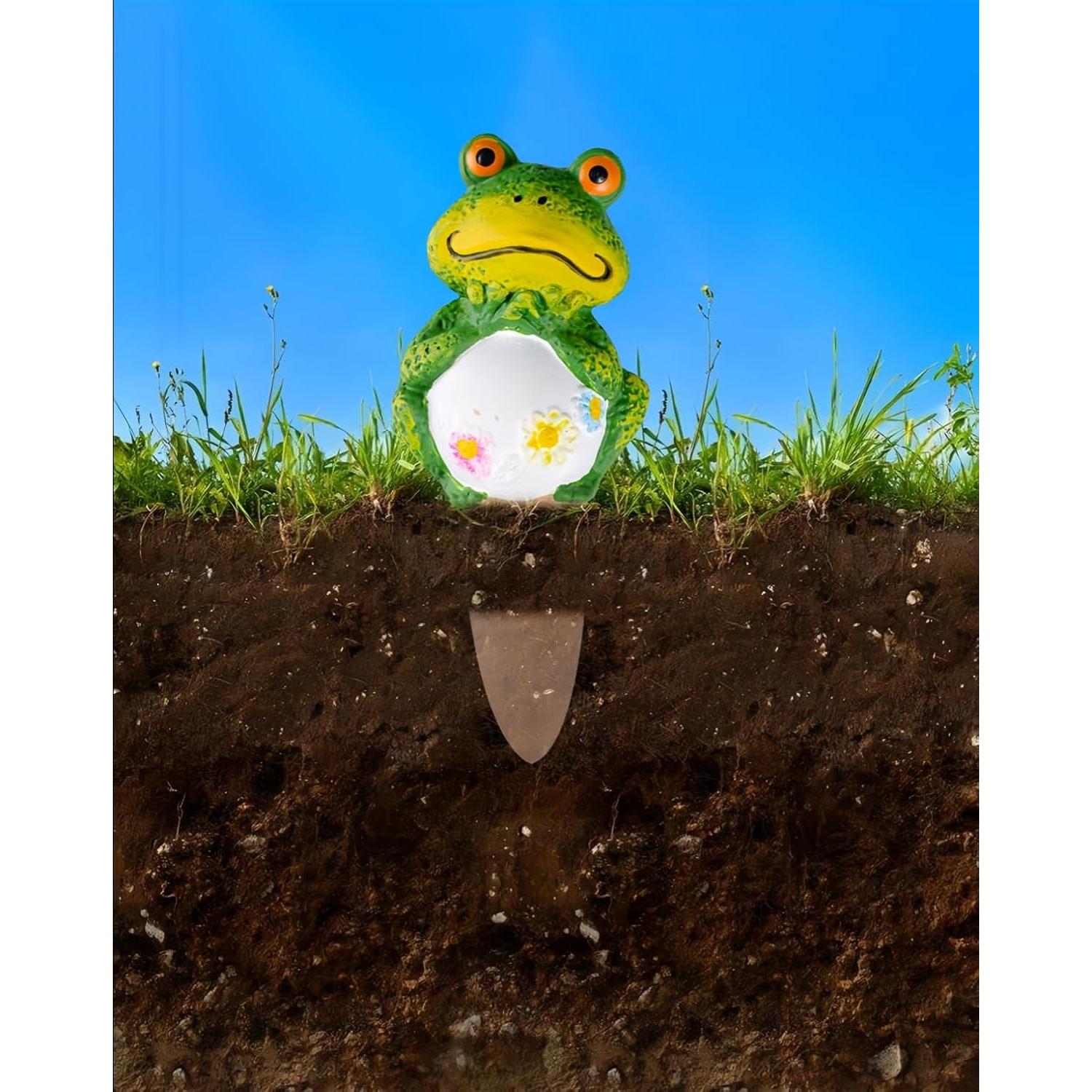 Paquete de 4 Picos de Riego de Terracota Rana Grande - QinSuiKai