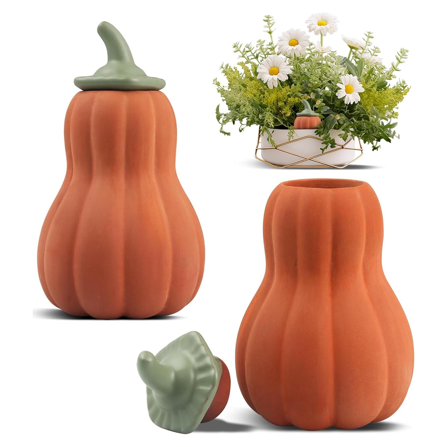 Picos de Riego Automático de Terracota 14 cm - WP-001