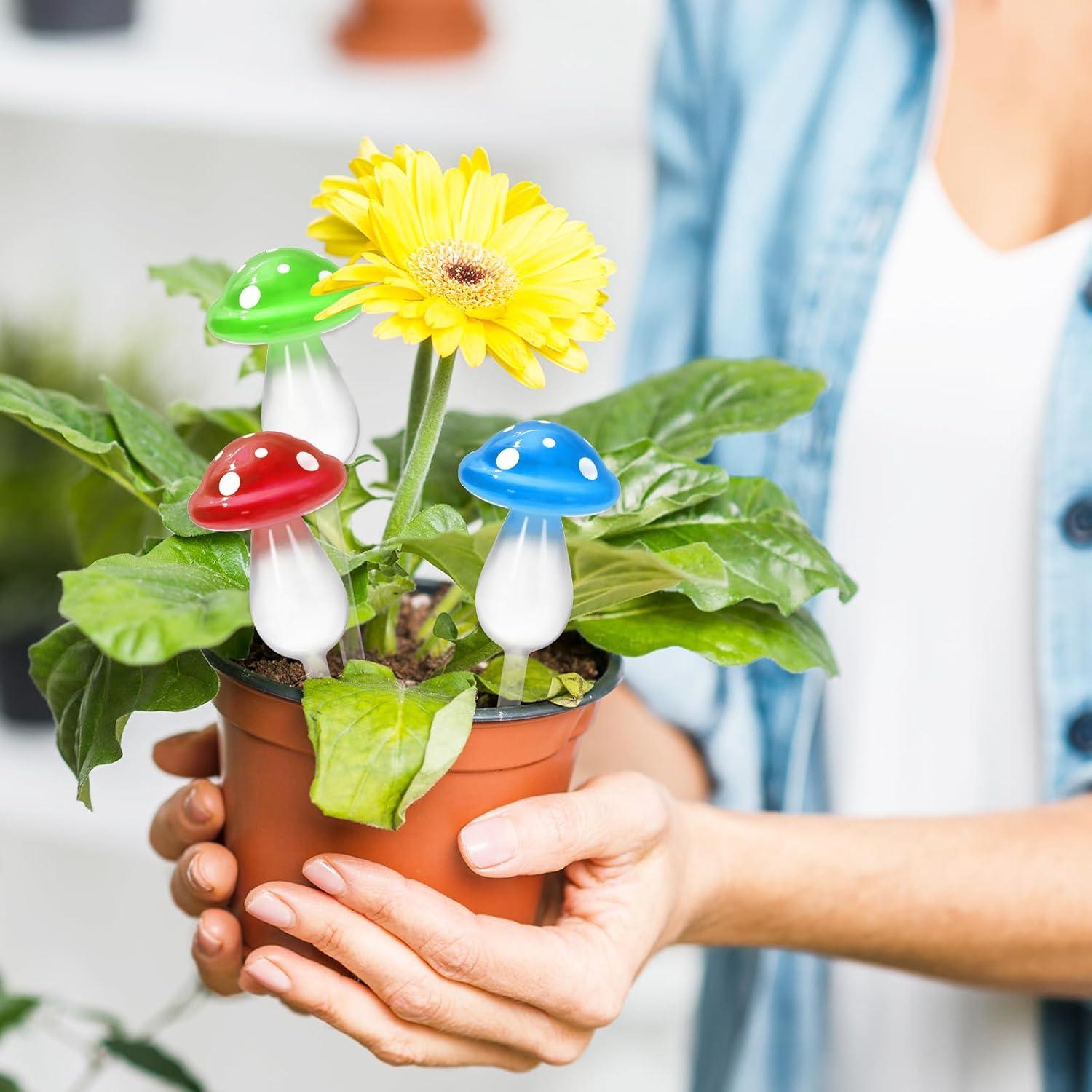 6 Esferas de Riego Automático de Vidrio JarThena para Plantas