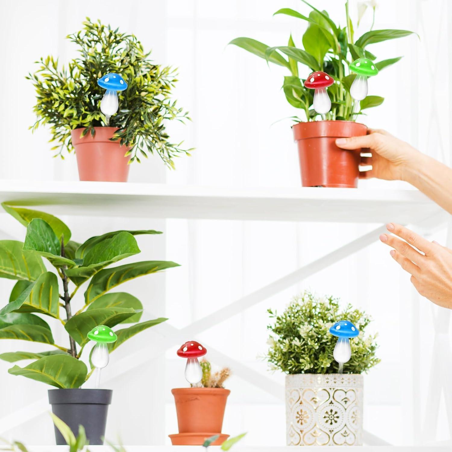 6 Esferas de Riego Automático de Vidrio JarThena para Plantas