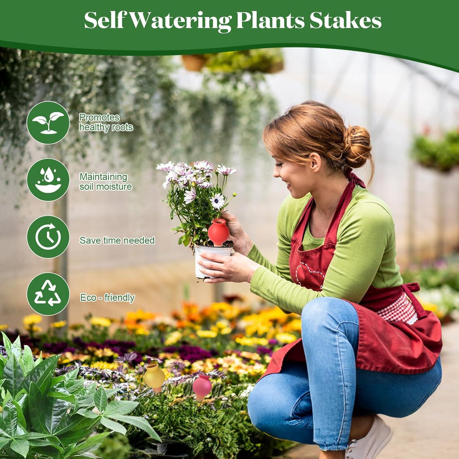 Juego de Picos de Riego de Terracota Flygragon - 6 Piezas