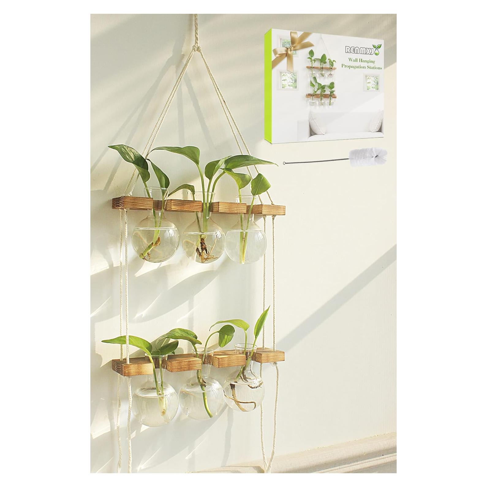 Estación de Propagación de Plantas Hidropónicas RENMXJ 6 Jarrones