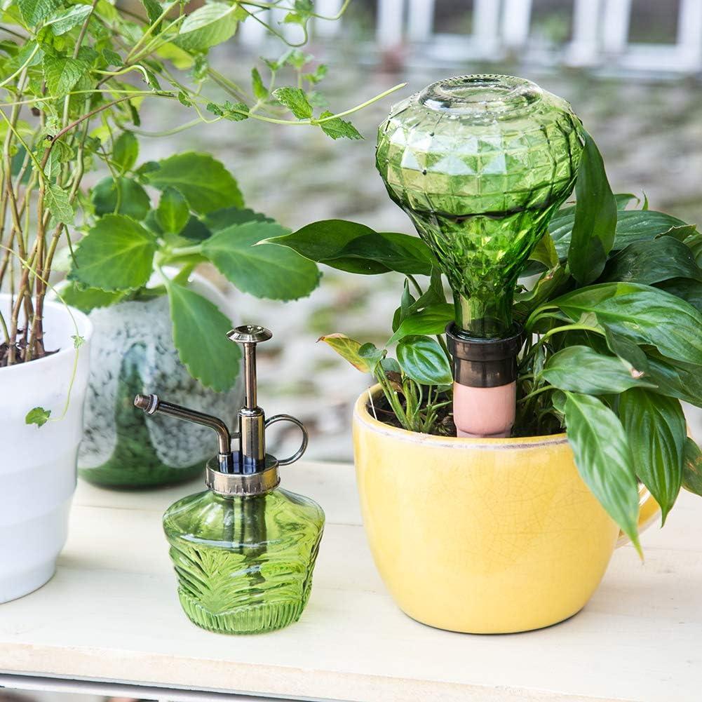 Mini Regadera de Vidrio Vintage Topadorn 177 ml Verde