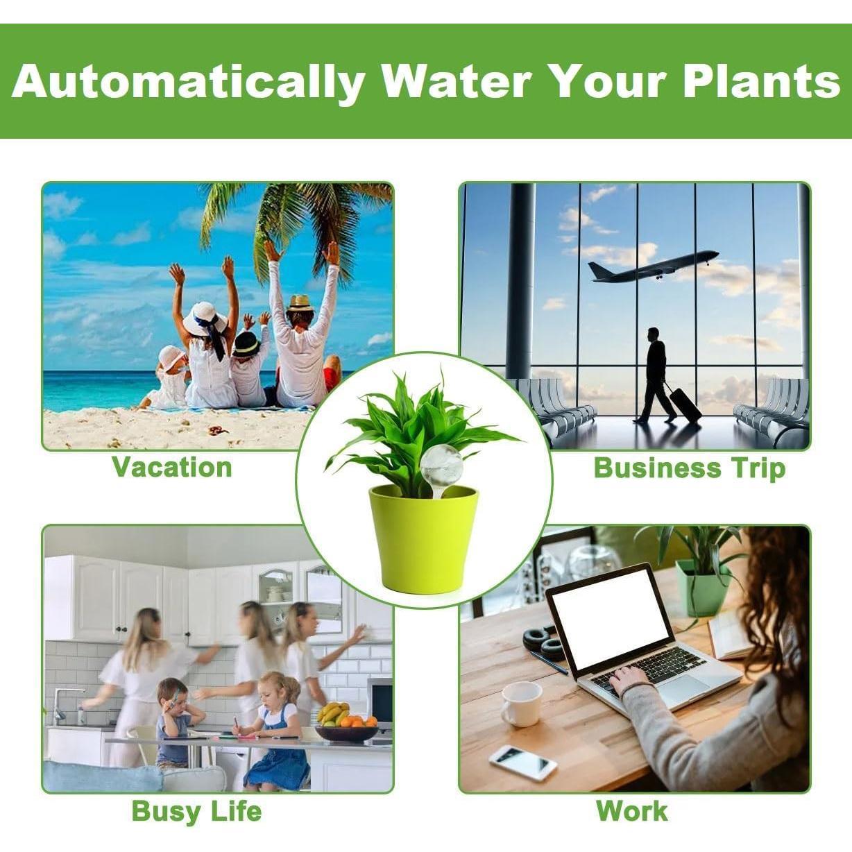 Esferas de Riego Automático Alotm 12 Paquete Grande Transparente