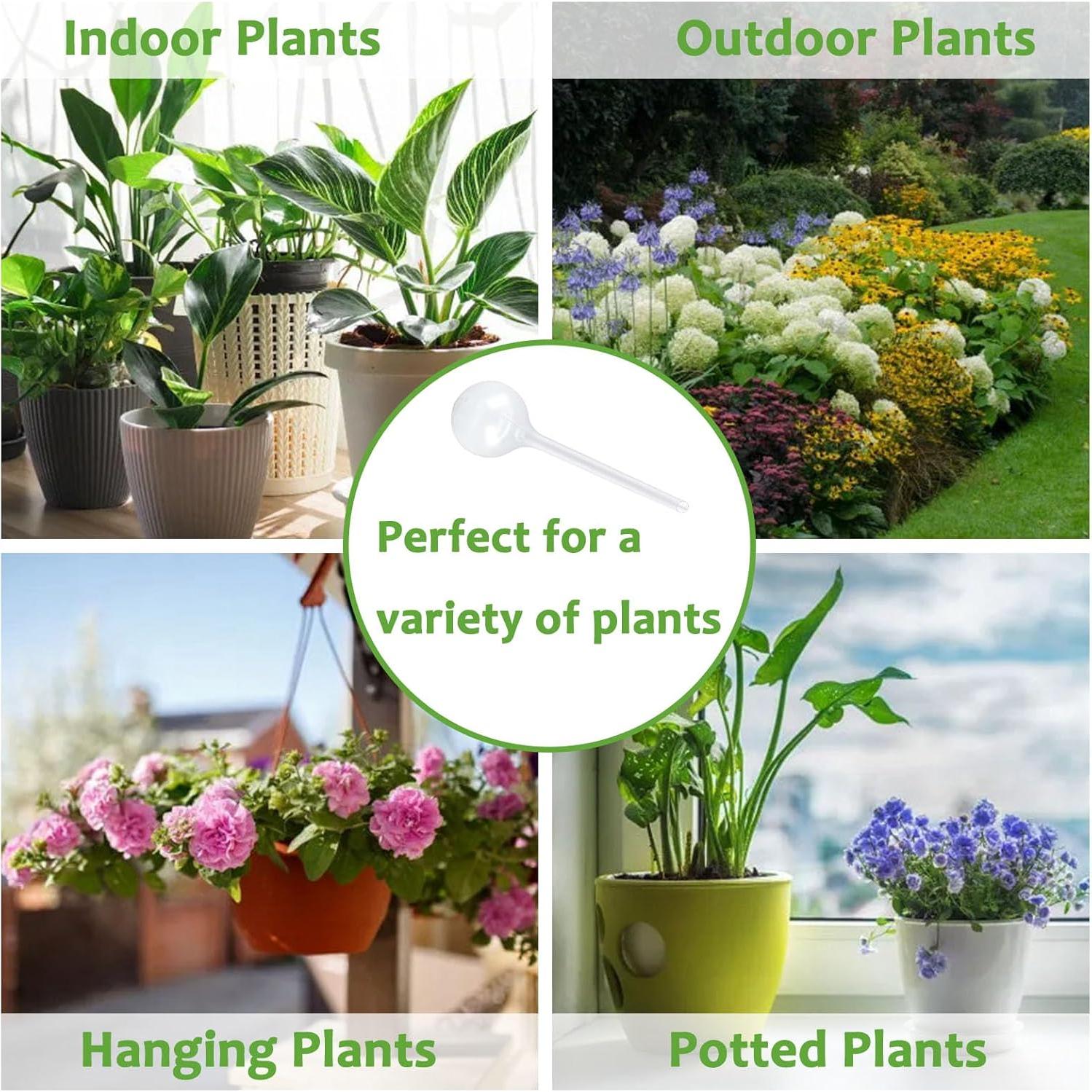 Esferas de Riego Automático Alotm 12 Paquete Grande Transparente