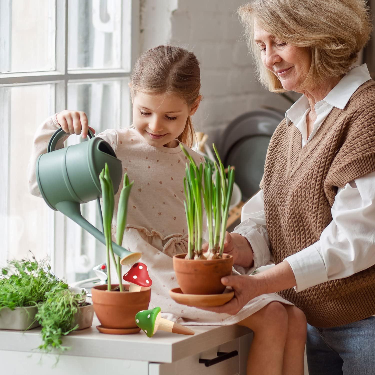8 Picos de Riego Automático de Terracota Eccliy para Plantas
