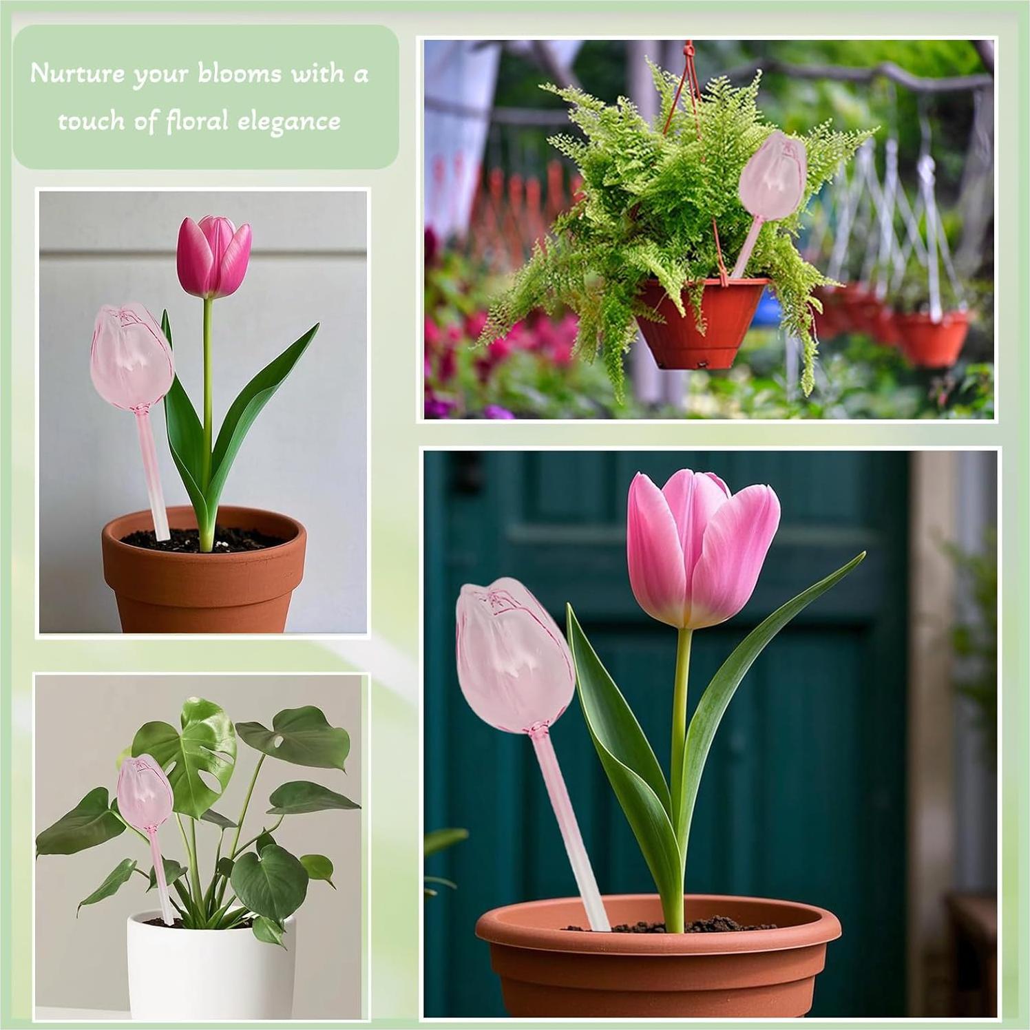 Paquete de 4 Esferas de Autorriego Luyseyha Tulipán 170ml