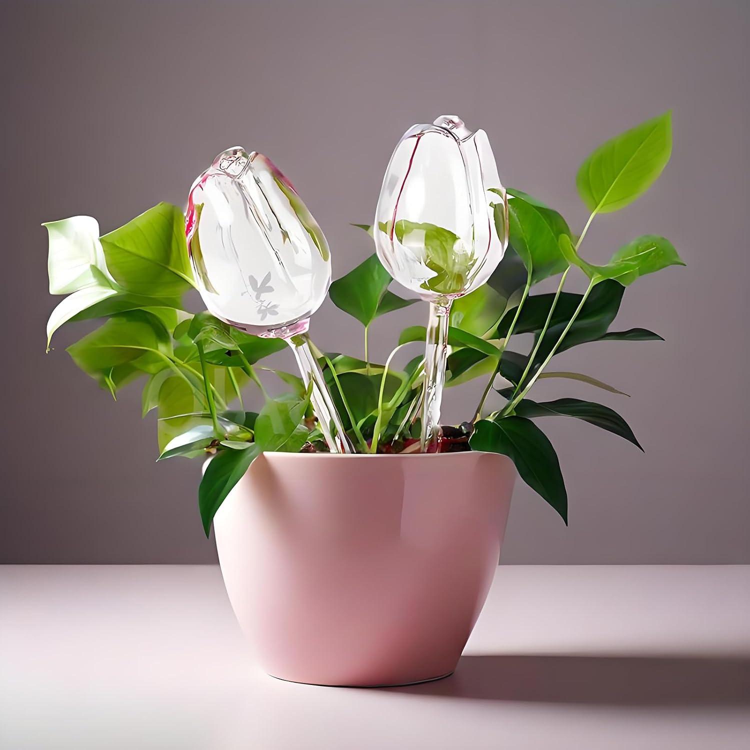 Paquete de 4 Esferas de Autorriego Luyseyha Tulipán 170ml