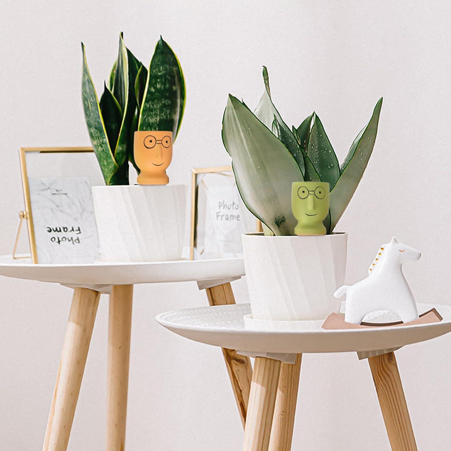 Picos de Riego de Terracota TopDirect 4 Pack - Autorriego para Plantas