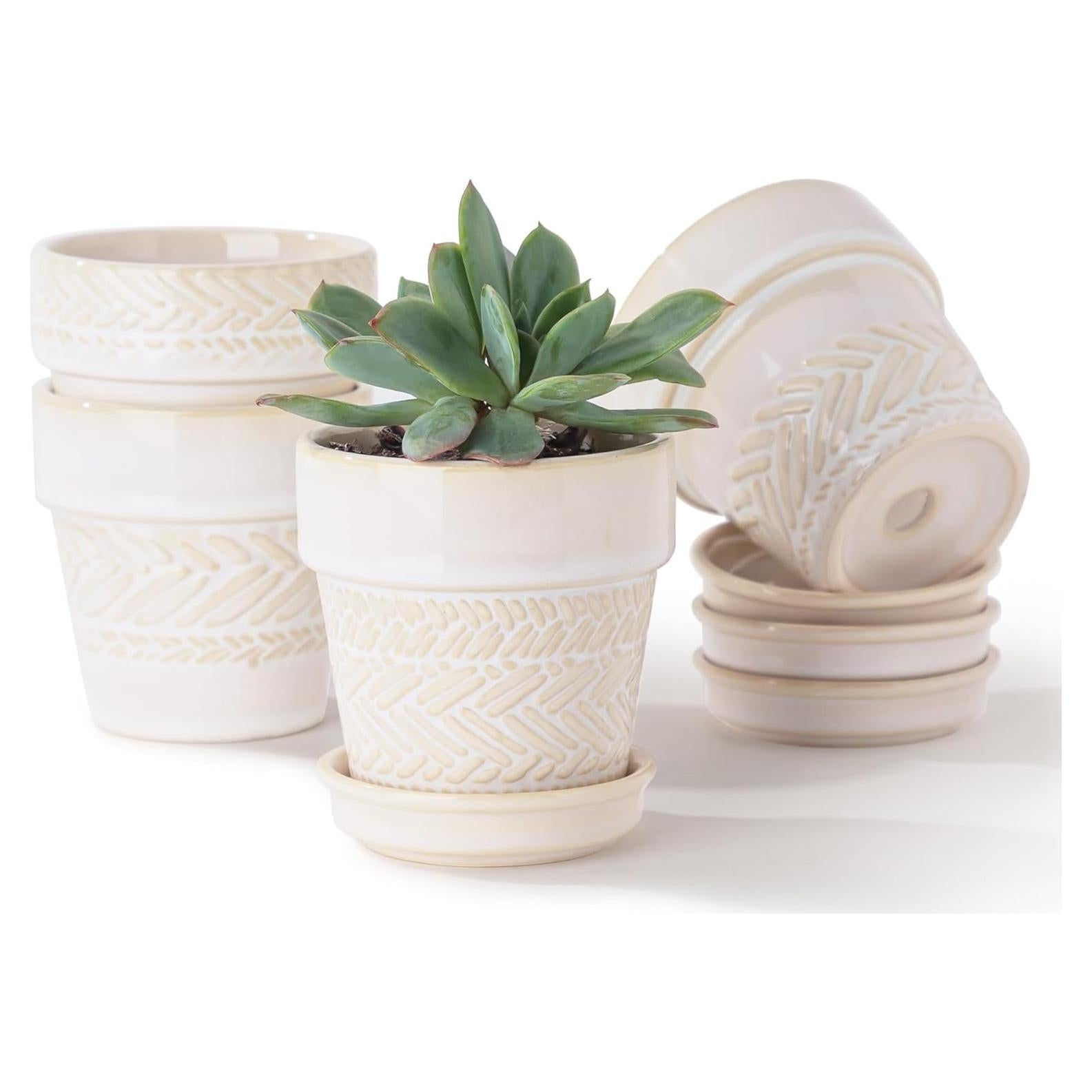 Macetas suculentas Fayoula mini de cerámica 7.62 cm con plato