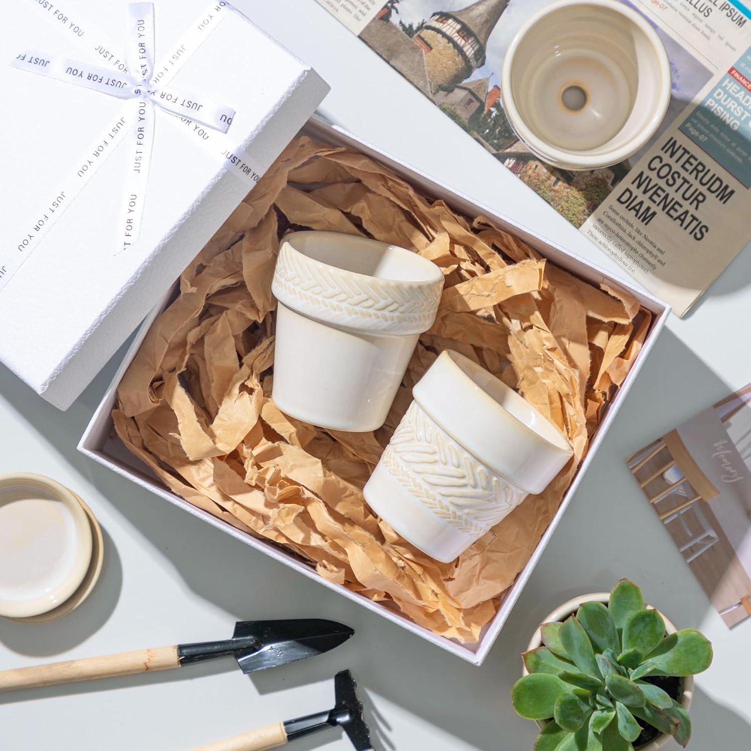 Macetas suculentas Fayoula mini de cerámica 7.62 cm con plato