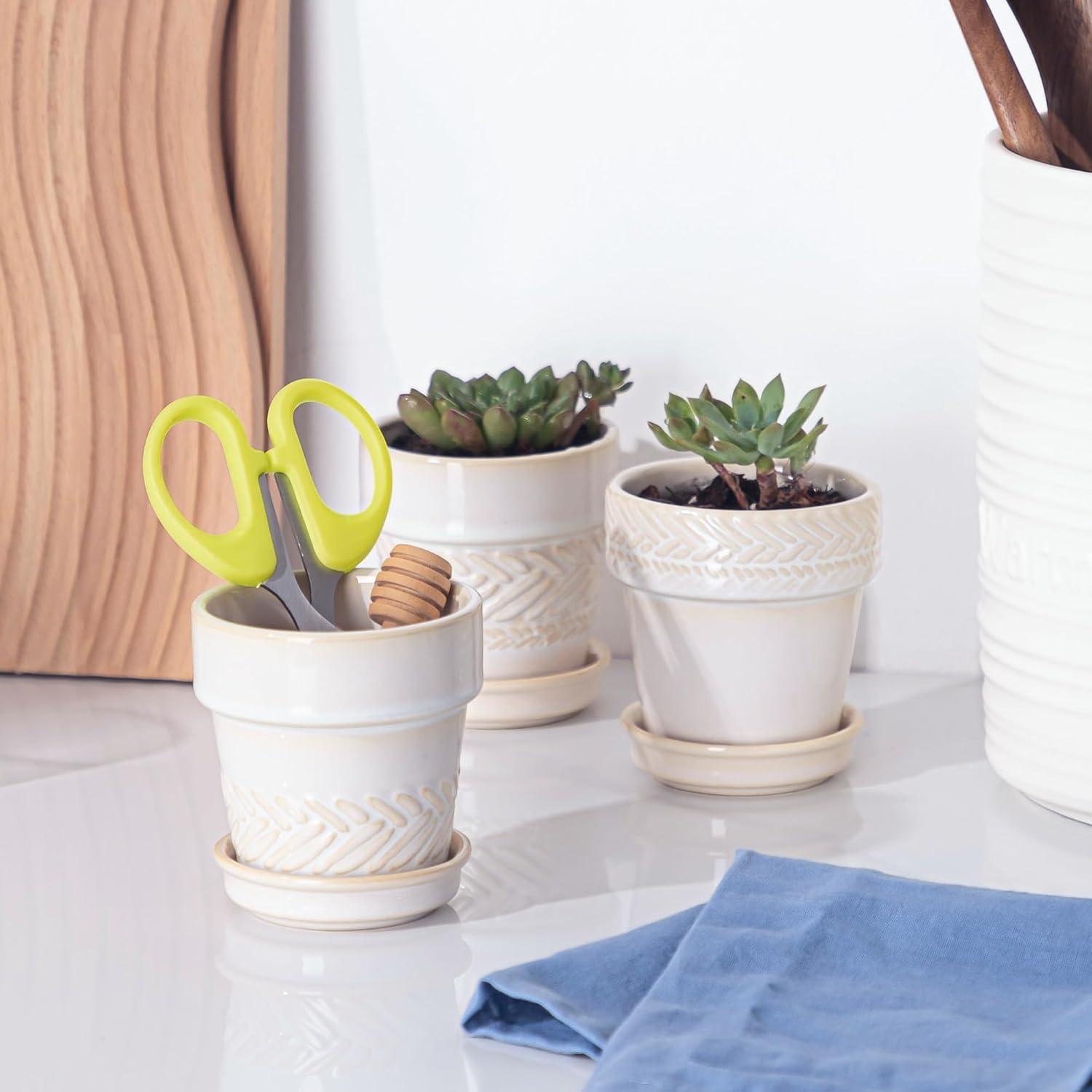 Macetas suculentas Fayoula mini de cerámica 7.62 cm con plato