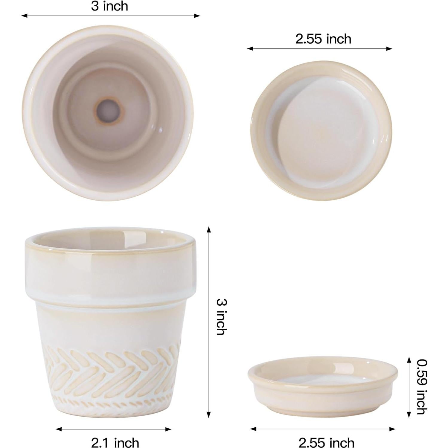 Macetas suculentas Fayoula mini de cerámica 7.62 cm con plato