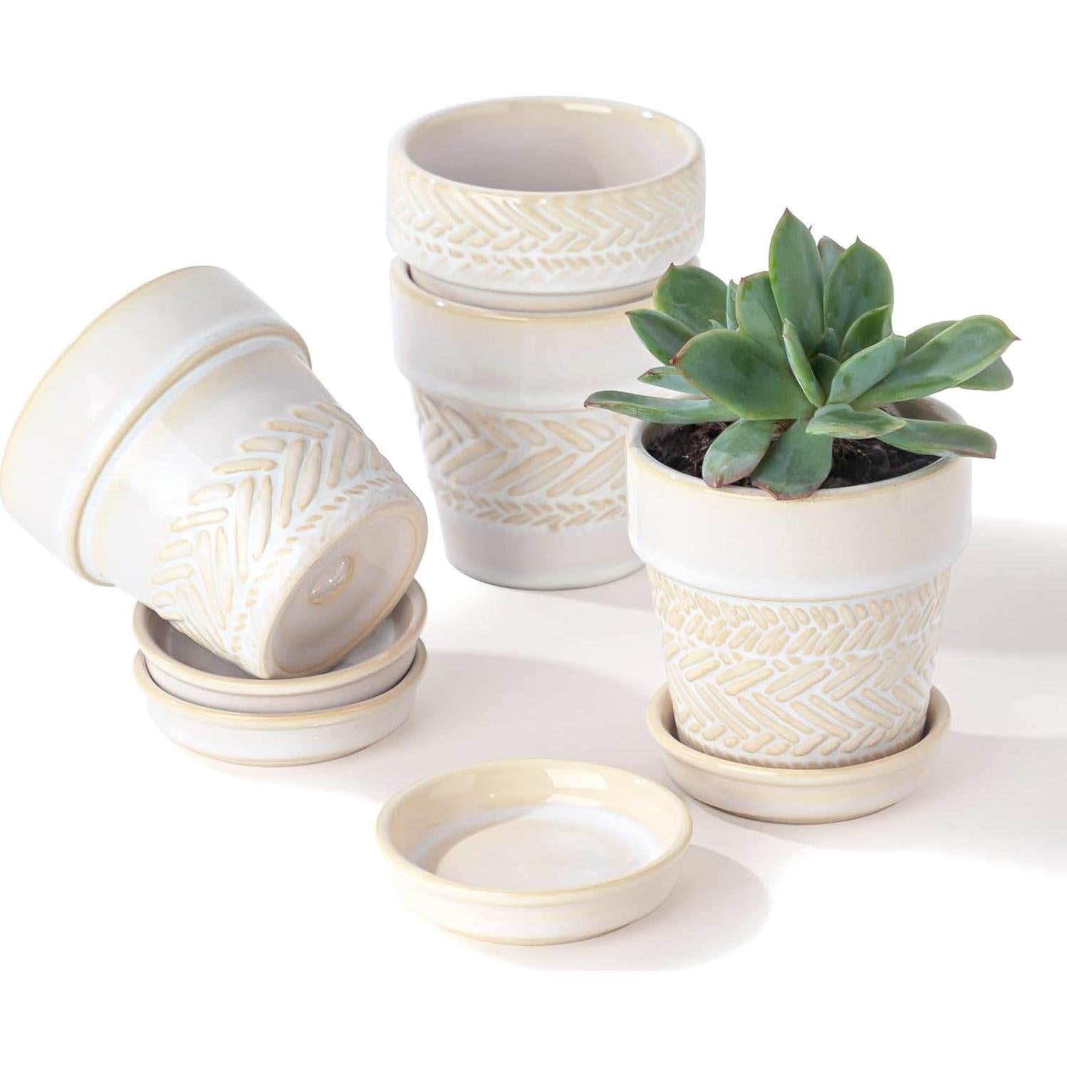 Macetas suculentas Fayoula mini de cerámica 7.62 cm con plato